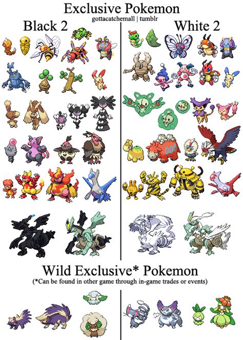 pokemon black white exclusives.